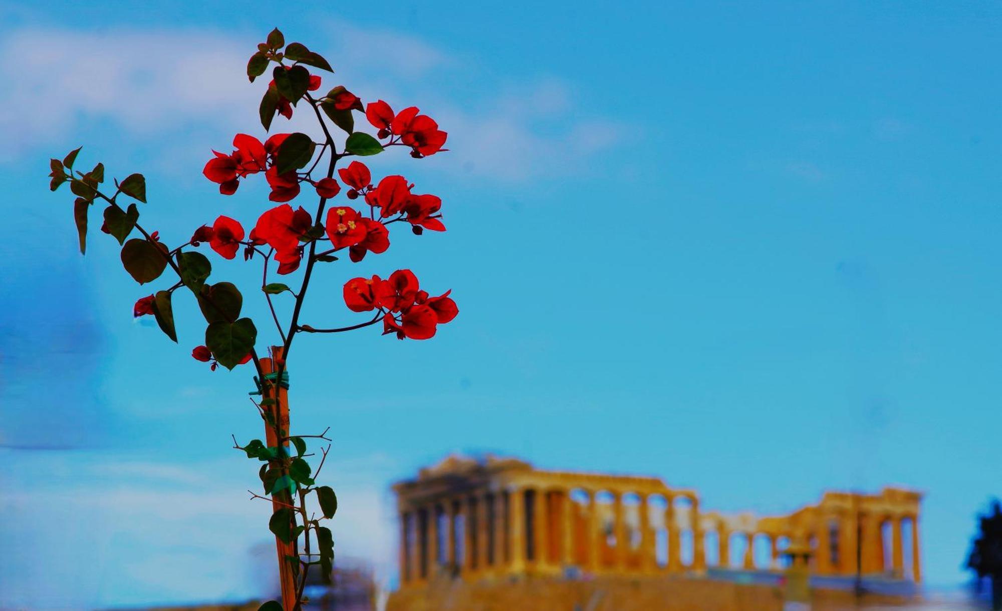 Aparthotel Absolute Athens Acropolis View Exterior foto