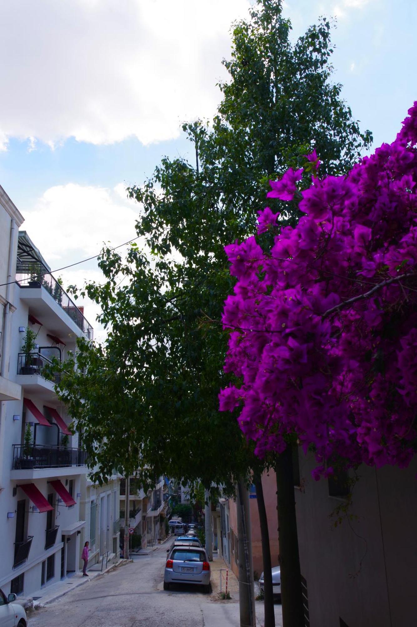 Aparthotel Absolute Athens Acropolis View Exterior foto